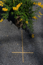 Paris, cimetière du Montparnasse
