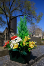 Paris, cimetière du Montparnasse
