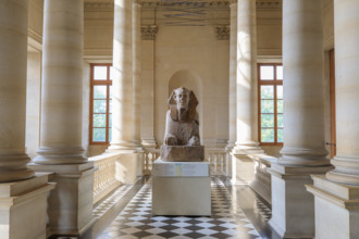 Paris, Musée du Louvre, Sphinx
