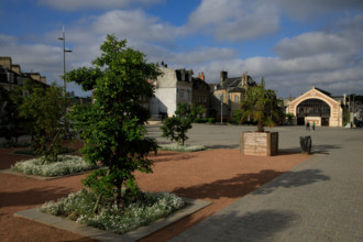france, région Normandie, Orne, Flers, plave de Dr Vayssières, halle du marché,