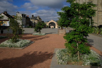 france, région Normandie, Orne, Flers, plave de Dr Vayssières, halle du marché,