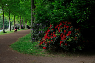france, région Normandie, Orne, Flers, parc du chateau-musée, ancien hotel de ville,