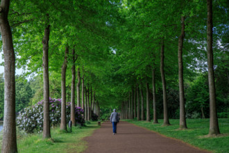 france, région Normandie, Orne, Flers, parc du chateau-musée, ancien hotel de ville,