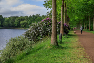 france, région Normandie, Orne, Flers, parc du chateau-musée, ancien hotel de ville,