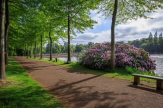 france, région Normandie, Orne, Flers, parc du chateau-musée, ancien hotel de ville,