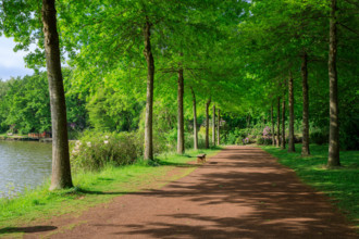 france, région Normandie, Orne, Flers, parc du chateau-musée, ancien hotel de ville,