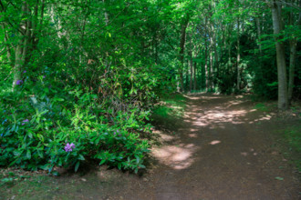 france, région Normandie, Orne, Flers, parc du chateau-musée, ancien hotel de ville,