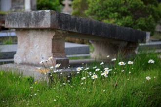 Varengeville-sur-Mer, France