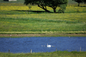 Criel-sur-Mer, Seine-Maritime