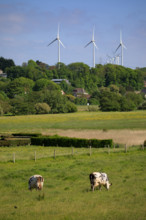 Criel-sur-Mer, Seine-Maritime