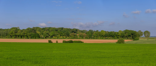 Quiberville-sur-Mer, Seine-Maritime