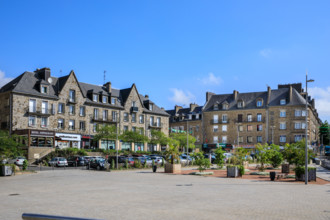 france, région Normandie, Orne, Flers, plavce de Dr Vayssières,