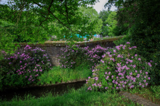 france, région Normandie, Orne, Flers, avenue de l'hotel de ville, bords de la Vére