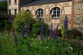 france, région Normandie, Orne, Flers, rue simmons, Bains douches numeriques, facade et jardin