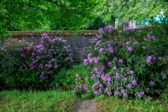 france, région Normandie, Orne, Flers, rue simmons, Bains douches numeriques, facade et jardin