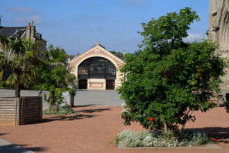 france, région Normandie, Orne, Flers, plave de Dr Vayssières, halle du marché,