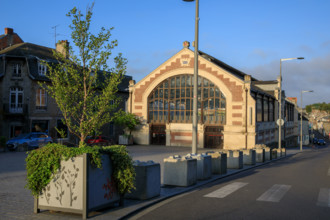 france, région Normandie, Orne, Flers, plave de Dr Vayssières, halle du marché,
