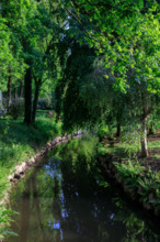 france, région Normandie, Orne, Flers, parc du chateau-musée, ancien hotel de ville,