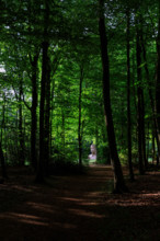 france, région Normandie, Orne, Flers, parc du chateau-musée, ancien hotel de ville,