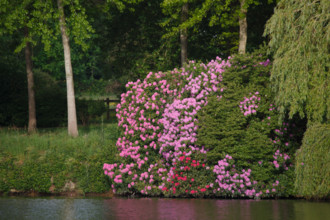 france, région Normandie, Orne, Flers, parc du chateau-musée, ancien hotel de ville,