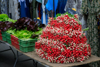 Luneray, Seine-Maritime