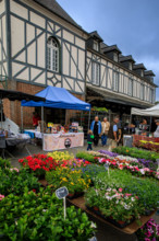 Luneray, Seine-Maritime