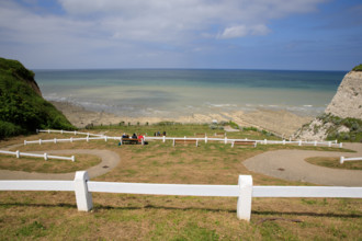 france, région Hauts de france, Somme, Ault, le bois de cise,