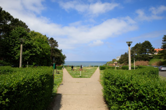 france, région Hauts de france, Somme, Ault, le bois de cise,