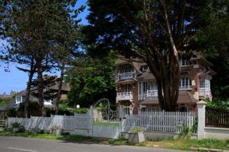 france, région Hauts de france, Somme, Ault, le bois de cise,