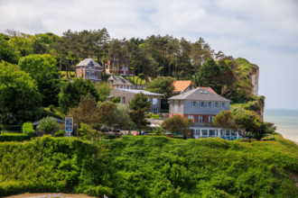 france, région Hauts de france, Somme, Ault, le bois de cise,