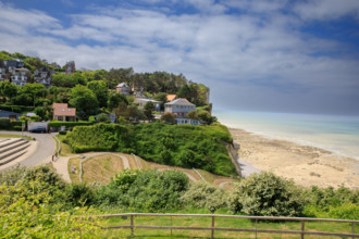 france, région Hauts de france, Somme, Ault, le bois de cise,