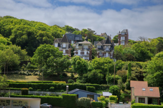 france, région Hauts de france, Somme, Ault, le bois de cise,