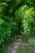 france, région Hauts de france, Somme, Ault, porte du moulinet et escaliers vers les hauteurs de la