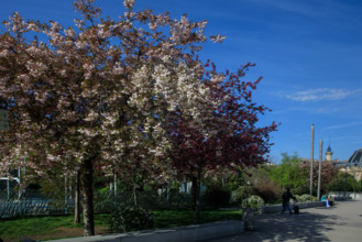 Paris, Jardin Nelson Mandela