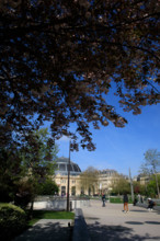 Paris, Jardin Nelson Mandela