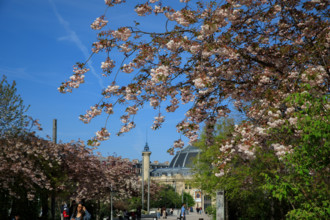 Paris, Jardin Nelson Mandela