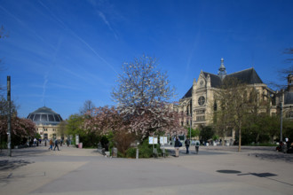 Paris, Jardin Nelson Mandela