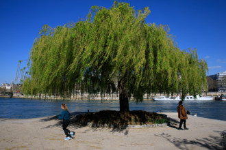 Paris, quai Saint-Bernard