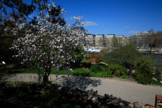 Paris, quai Saint-Bernard