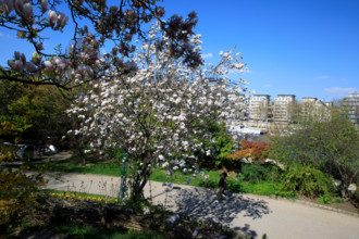 Paris, quai Saint-Bernard
