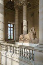 Paris, Musée du Louvre, Sphinx