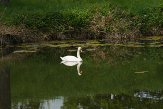 france, région centre, Loiret, Briare, pont canal de Birare, pont-canal portant le canal latéral à