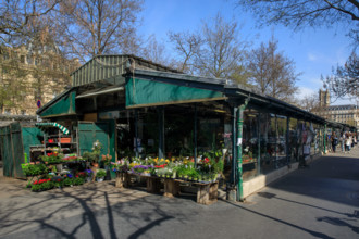 Paris, Marché aux Fleurs
