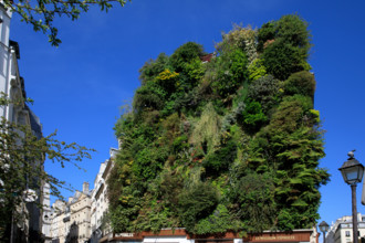 Paris, rue d'Aboukir