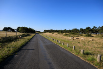 france, region Normandie, Manche, cotentin, Agon coutainville, pointe d'Agon,