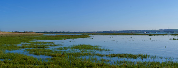 france, region Normandie, Manche, cotentin, Agon coutainville, pointe d'Agon,