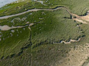 france, region Normandie, Manche, cotentin, Agon coutainville, pointe d'Agon,