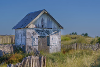 france, region Normandie, Manche, cotentin, Agon coutainville,, plage de la Poulette, babine,