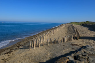 france, region Normandie, Manche, cotentin, Agon coutainville,, plage de la Poulette, babine,