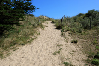 france, region Normandie, Manche, cotentin, plages du debarquement, Sainte-Marie du Mont,  Utah